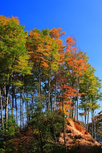 NBA总决赛火箭再现辉煌，篮球历史注定要铭记