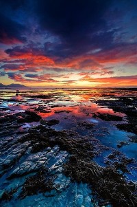 AC米兰客场逼平切沃，向胜利迈进