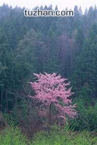 欧国联变奏曲：主帅更迭潮涌，球队何以为继？