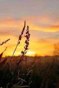 格拉纳达曙光：一场荡气回肠的胜利，点燃淘汰赛的希望之火